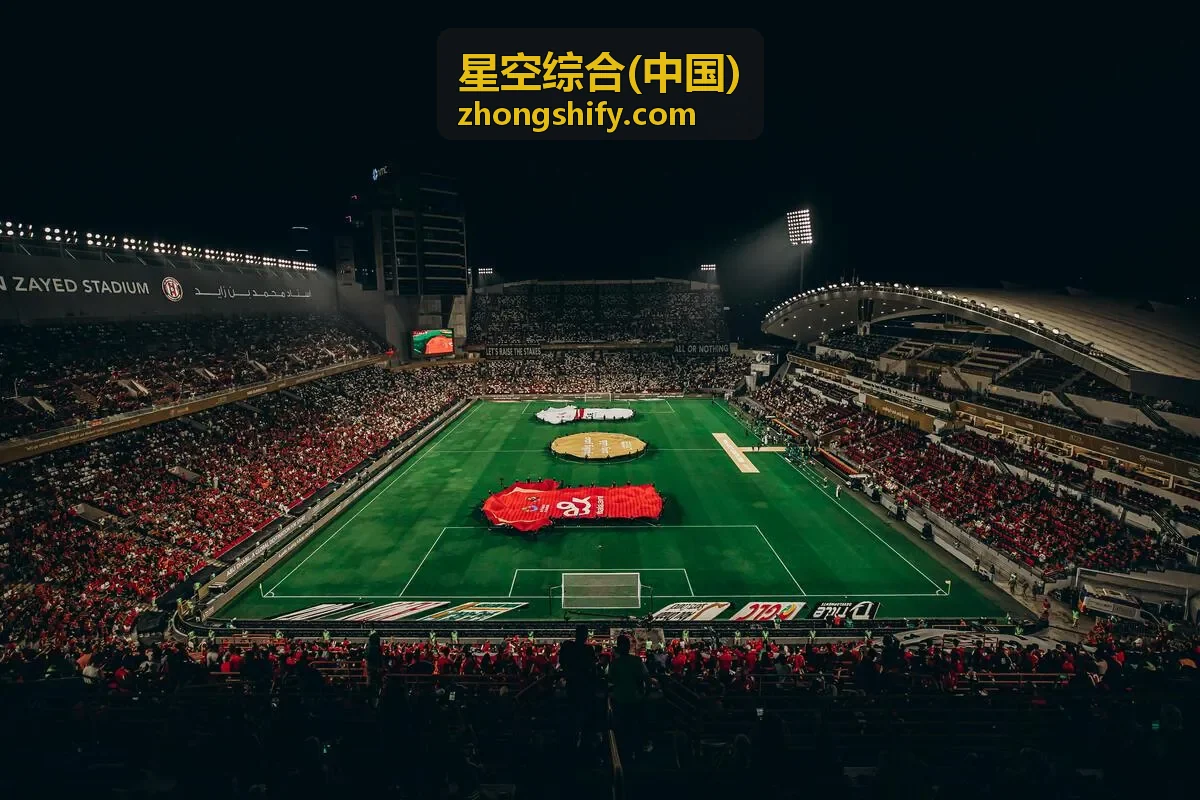 星空综合(中国)账号异常处理片段封面